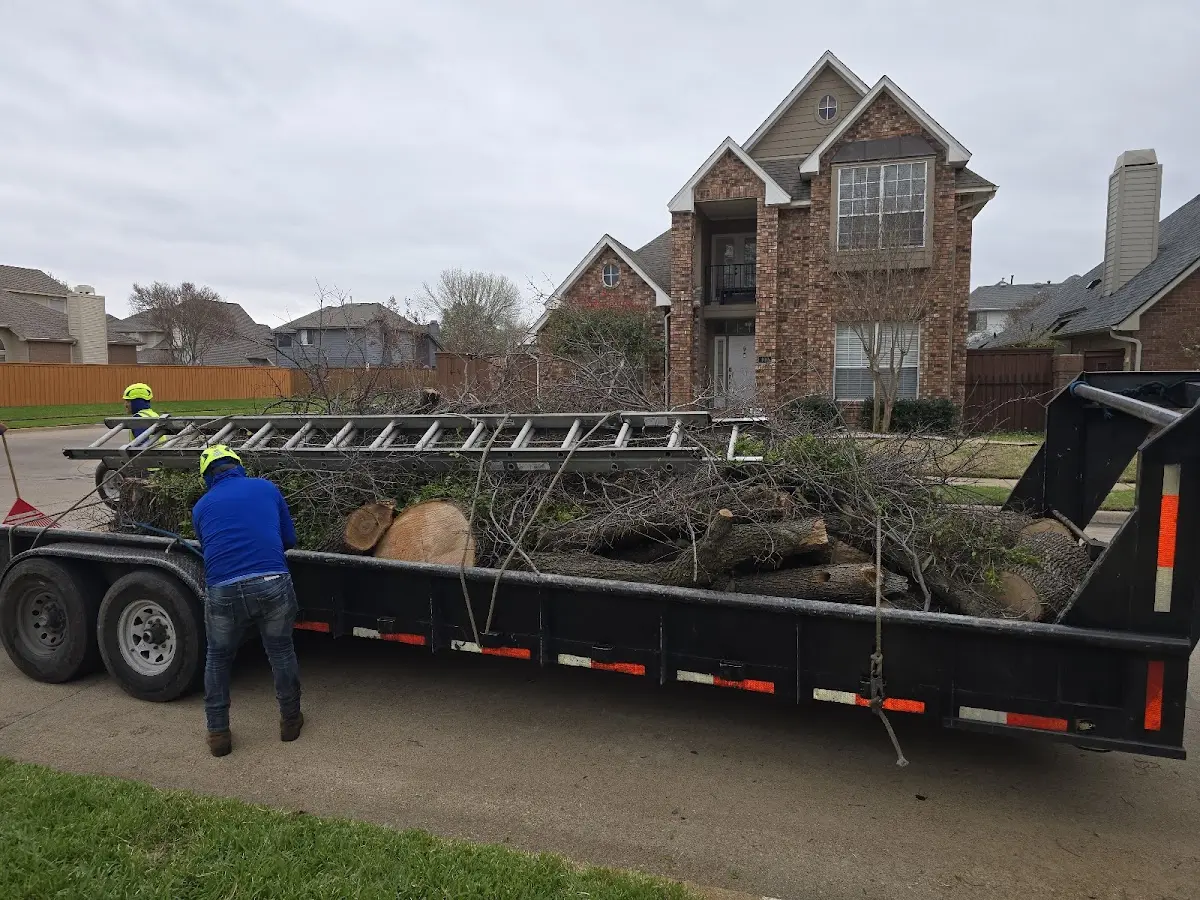 Expert Tree Removal with proper safety equipment in Saint Peter